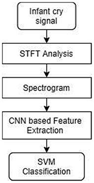 Deep Learning Assisted Neonatal Cry Classification via Support Vector Machine Models